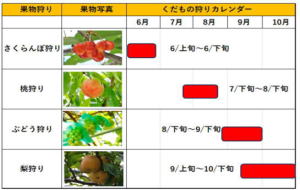 fruit calendar